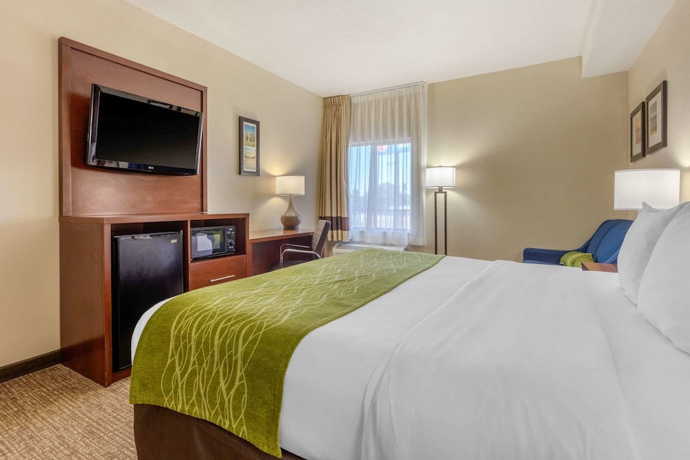 Suite, 1 King Bed with Sofa bed, Non Smoking - Photo 4