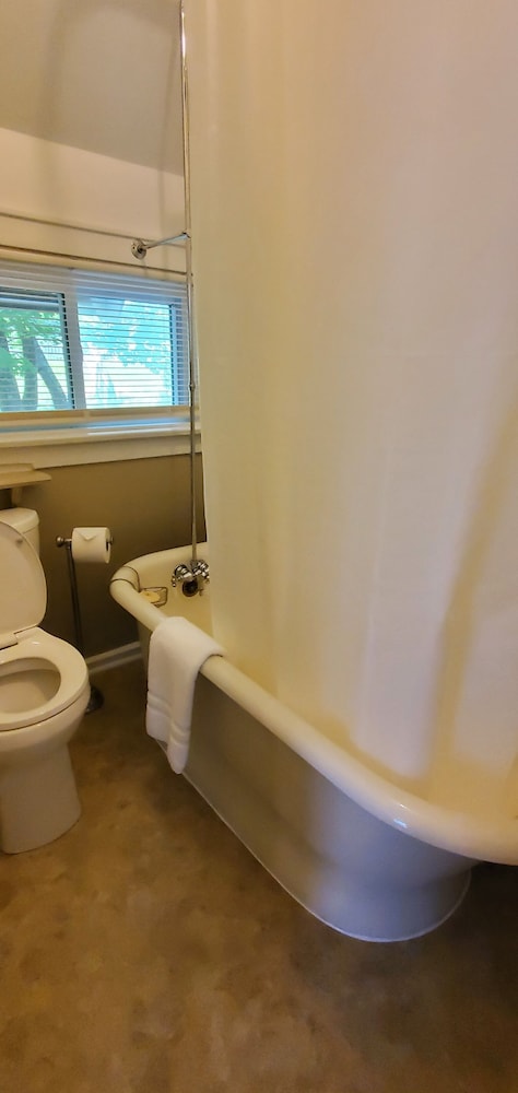 Clematis Room photo 2
