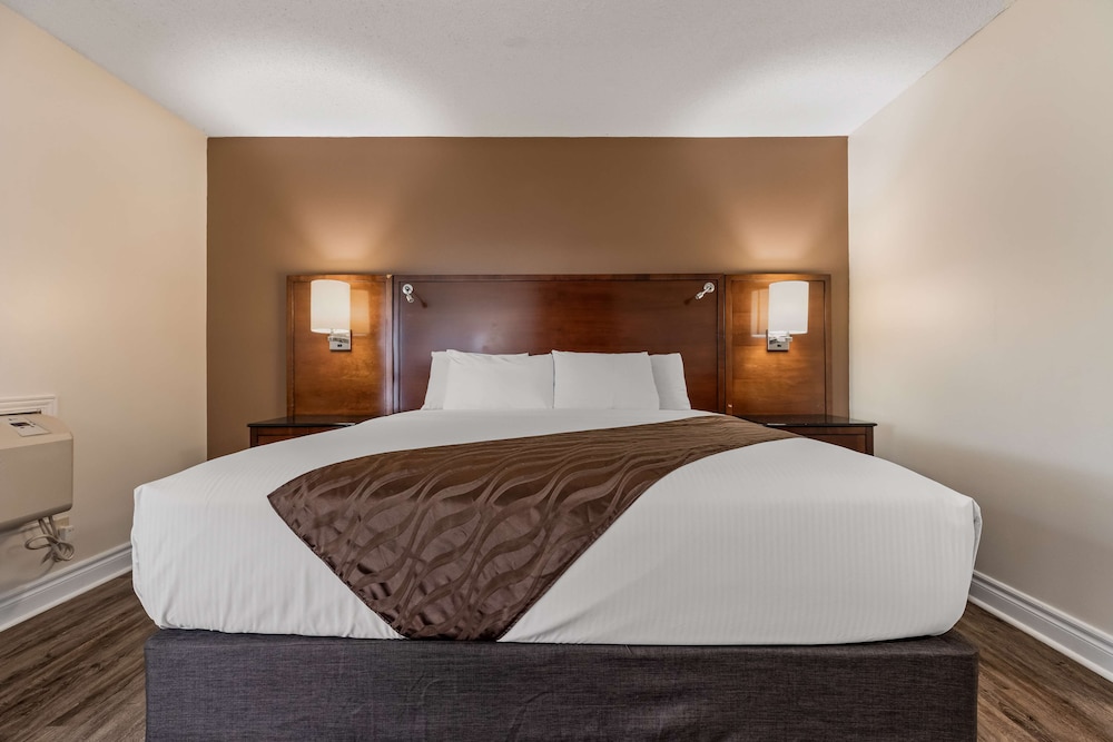 Standard Room, 1 King Bed, Non Smoking, Refrigerator & Microwave - Photo 7