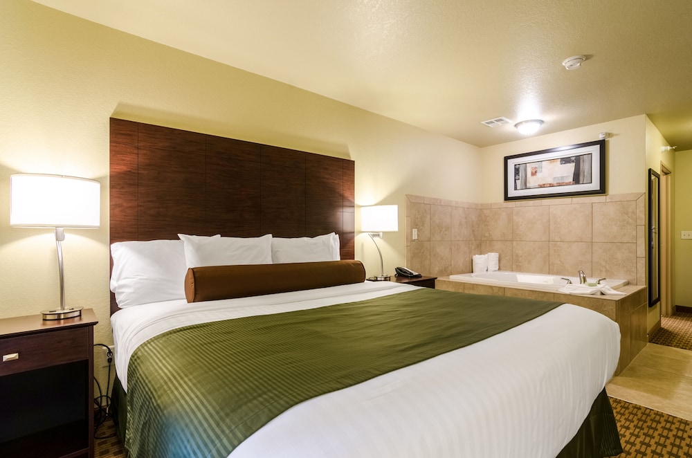 Room, 1 King Bed with Whirlpool, Non Smoking photo 1