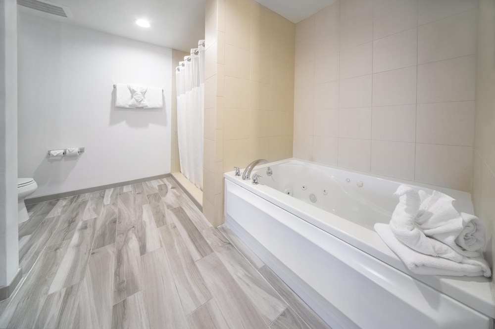 Evolution, Suite, 1 Bedroom - Photo 2