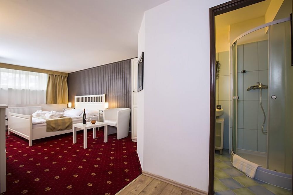 Basic Double Room In The Basement  (Extra Bed) photo 3