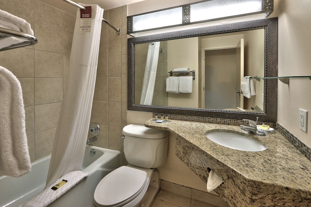 Standard Room, 1 King Bed, Non Smoking (Shower Only) - Photo 4
