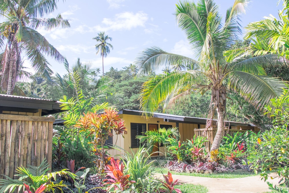 Tropical Suite photo 2