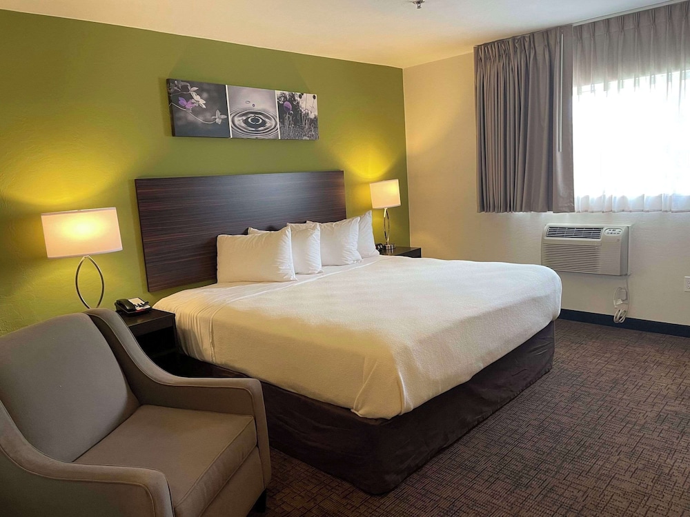 Room, 1 King Bed, Non Smoking - Photo 1
