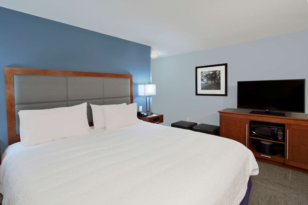 Room, 1 King Bed, Refrigerator photo 1