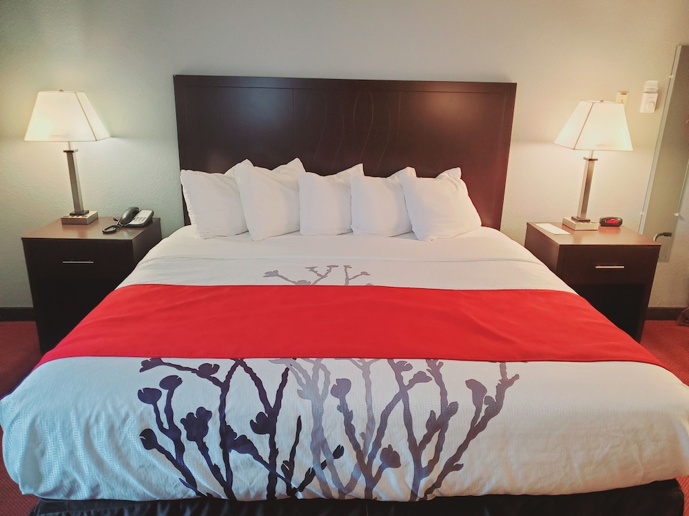 Executive Suite, 1 King Bed photo 3