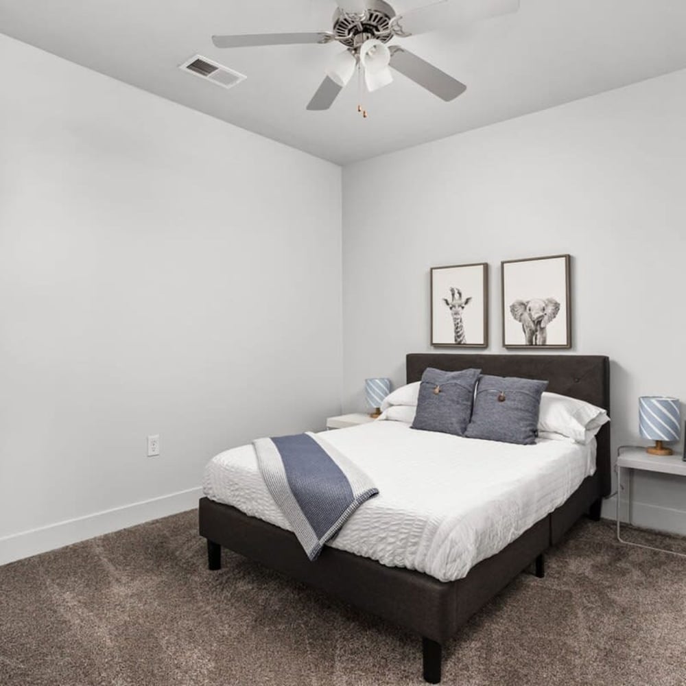 Cozysuites Spacious 2BR Next to Whole Foods, Photo 34