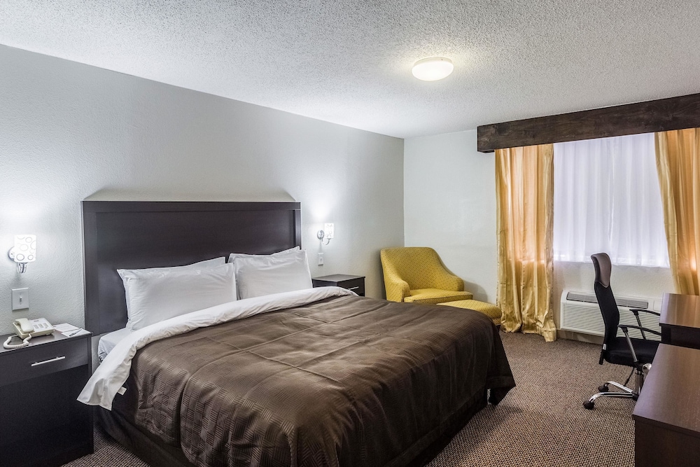 Standard Room, 1 King Bed, Non Smoking - Photo 8