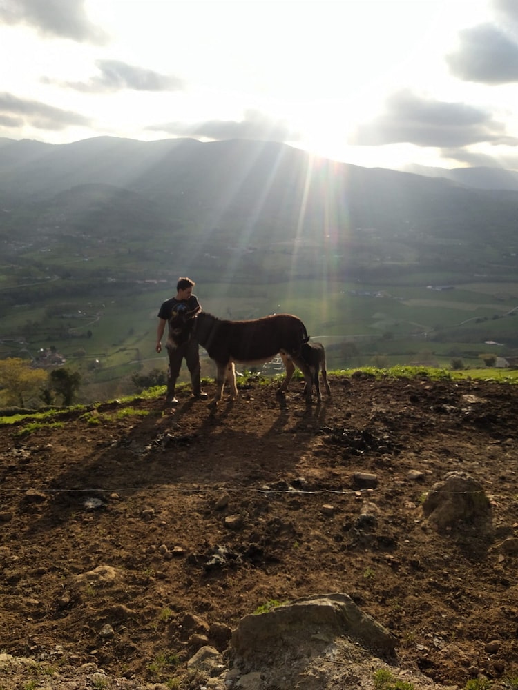 Casa Rural Costalisa, Billede 17