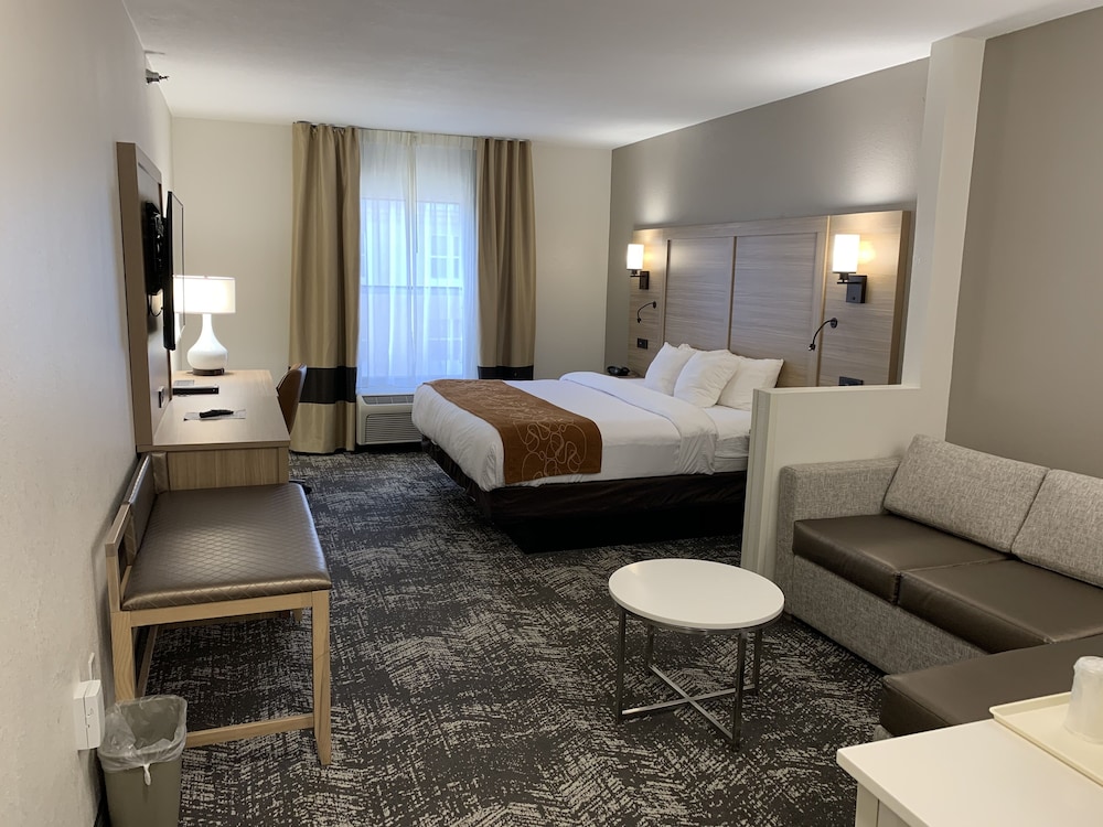 Suite, 1 King Bed, Non Smoking - Photo 4