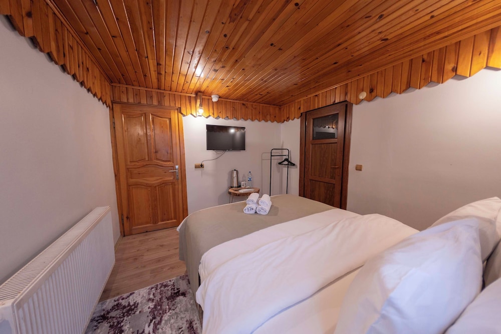 Classic Room, 1 Double Bed, Mountain View photo 1
