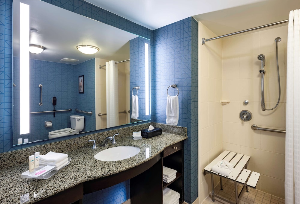 Studio, 1 King Bed, Accessible (Roll-in Shower) - Photo 6