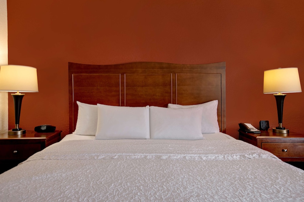 Room, 1 King Bed, Accessible, Refrigerator & Microwave (Bathtub) - Photo 6