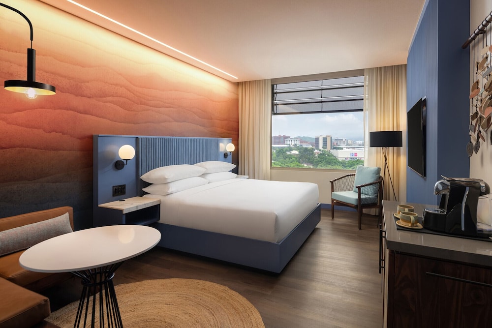 King Room photo 1