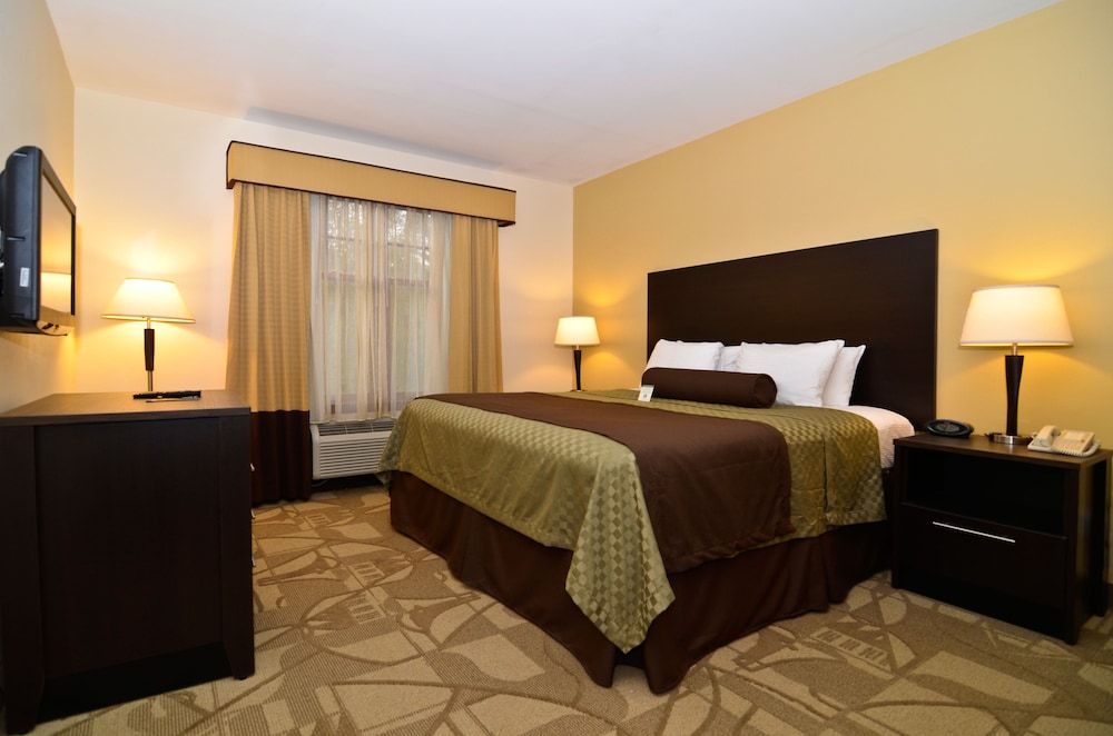 Standard Room, 1 King Bed, Non Smoking, Refrigerator & Microwave - Photo 3