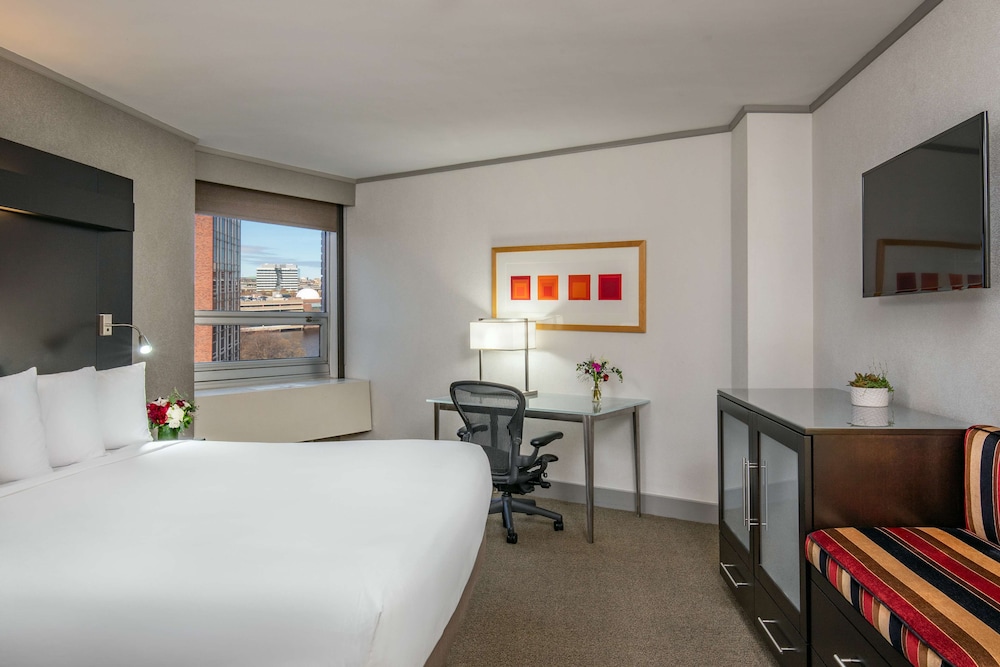 Suite, 1 Twin Bed photo 2