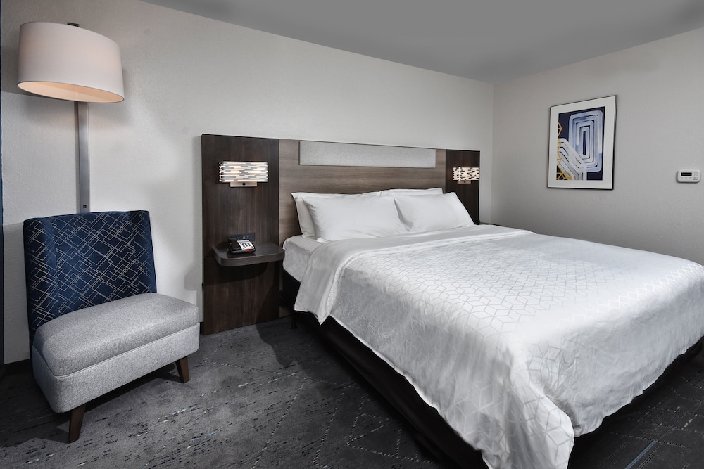 Standard Room, 1 King Bed, Accessible (Communications) - Photo 3