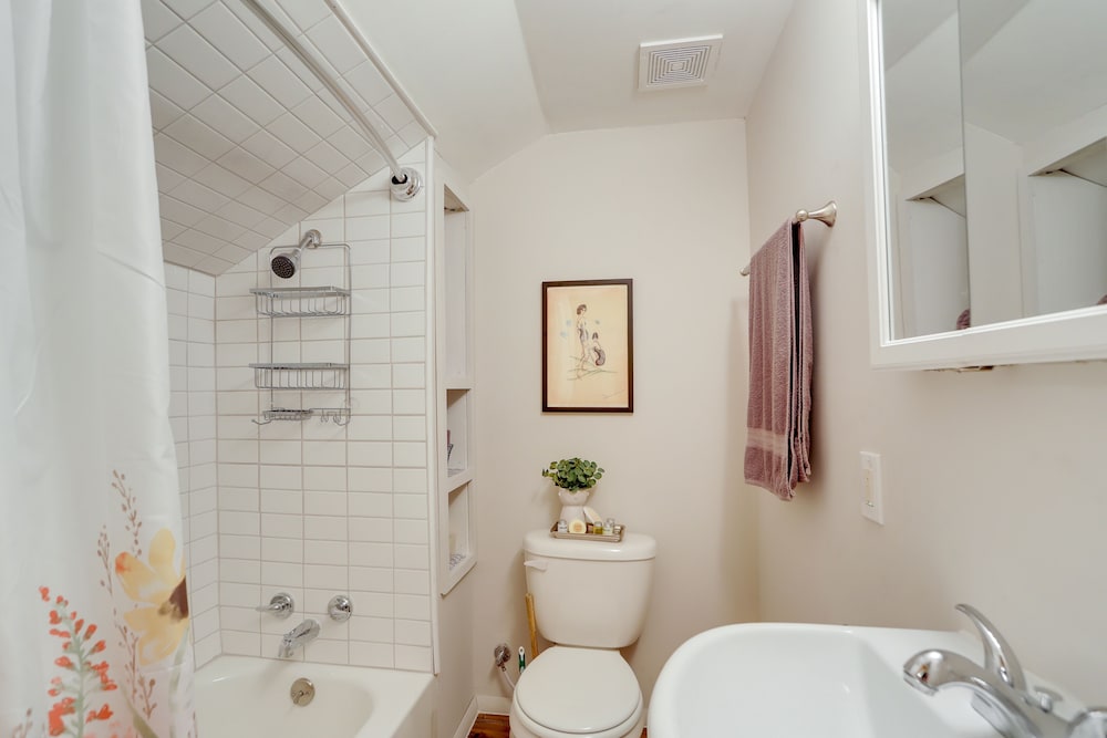 Apartment (1 Bedroom) photo 2