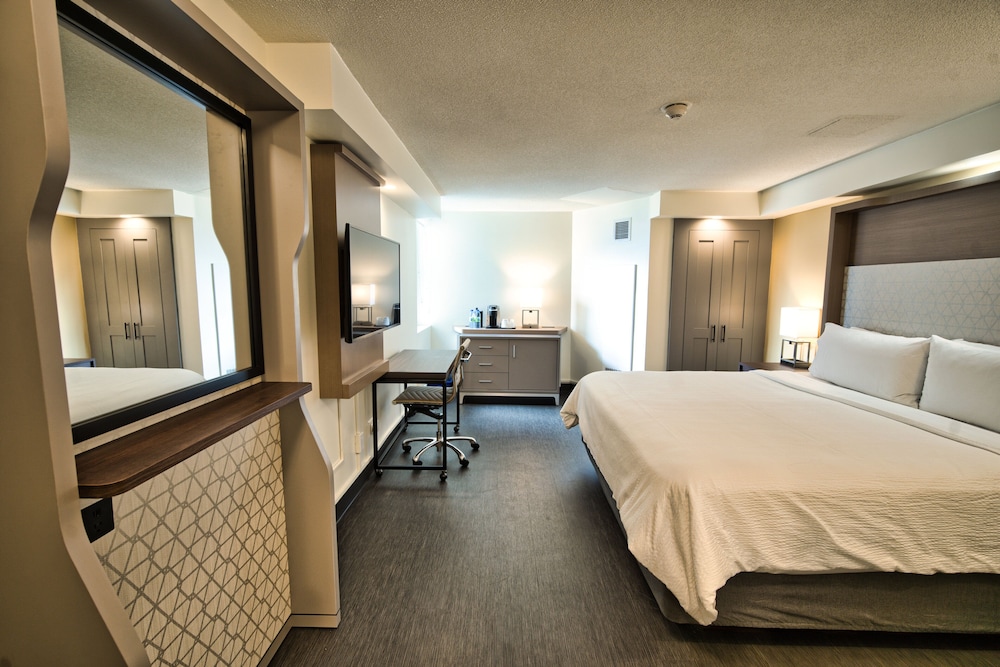 Executive Room, 1 King Bed, Non Smoking