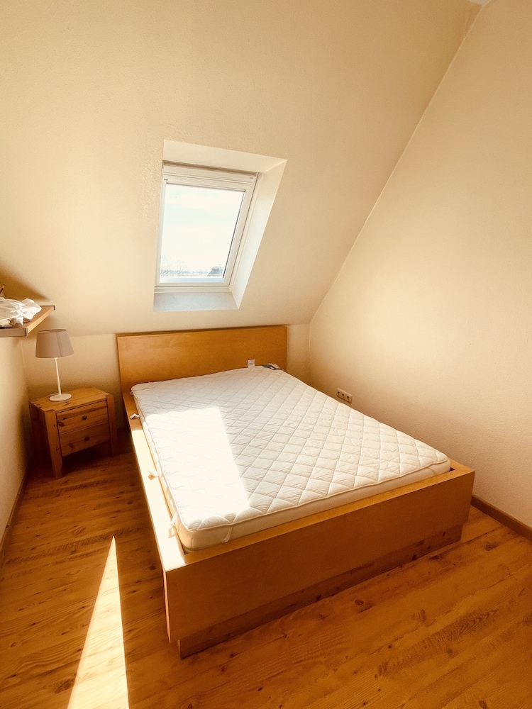 Junior Condo photo 2