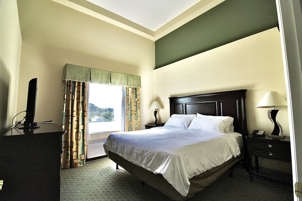 Suite, 1 King Bed - Photo 6