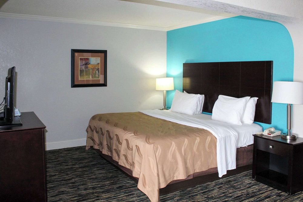 Suite, 1 King Bed with Sofa bed, Accessible, Non Smoking - Photo 1