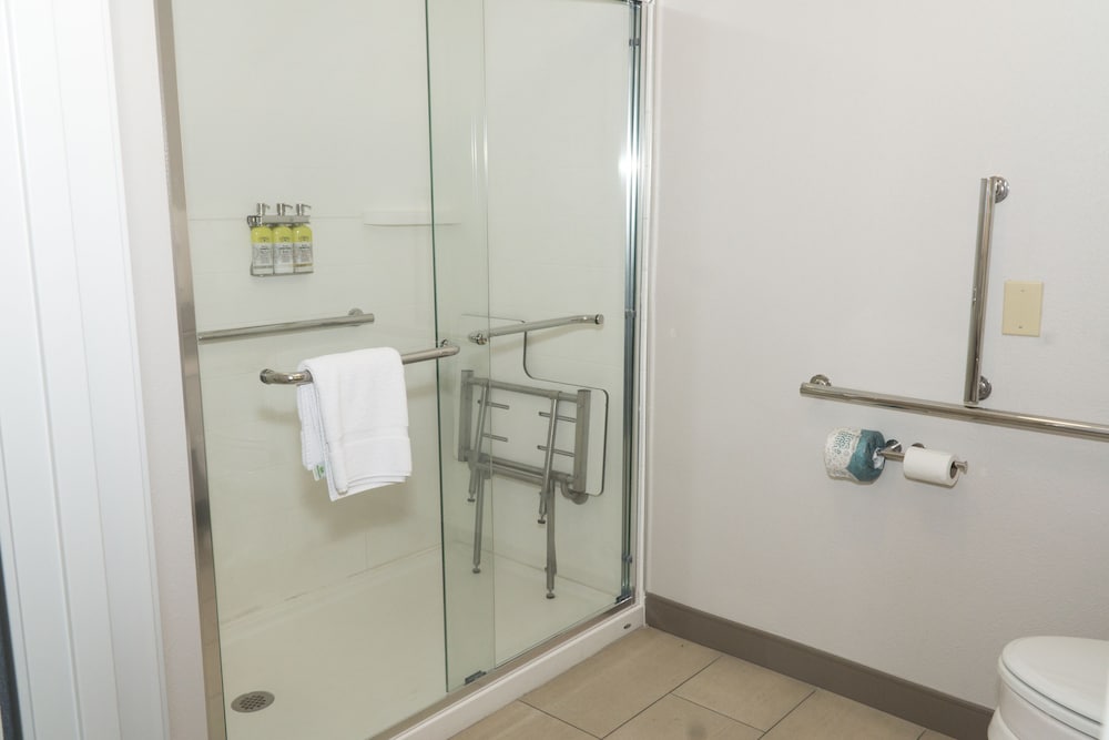 Room, 1 King Bed, Accessible (Communications, Roll-In Shower) - Photo 6
