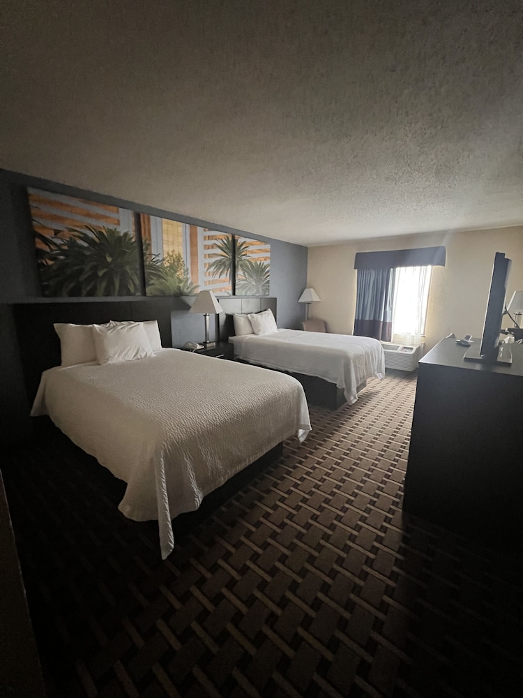 Standard Room, 2 Double Beds, Non Smoking photo 3