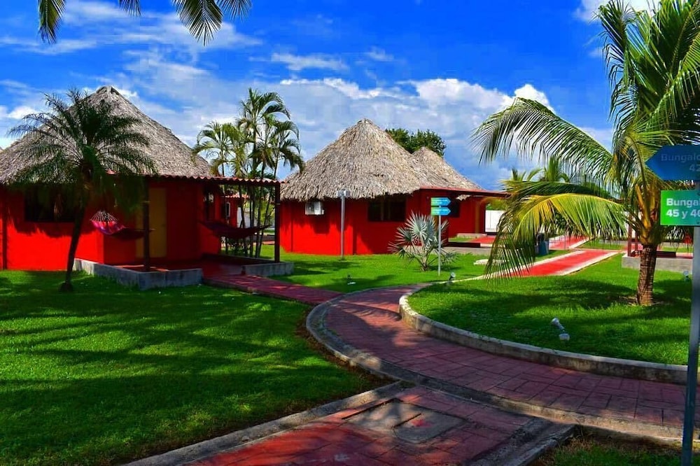 Junior Bungalow, 2 Double Beds photo 3