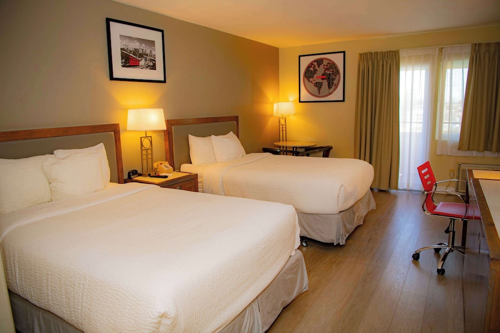 Double Room, 2 Double Beds - Photo 1