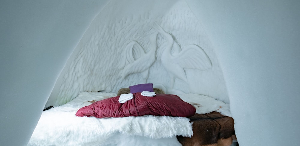 Room, 1 King Bed photo 1