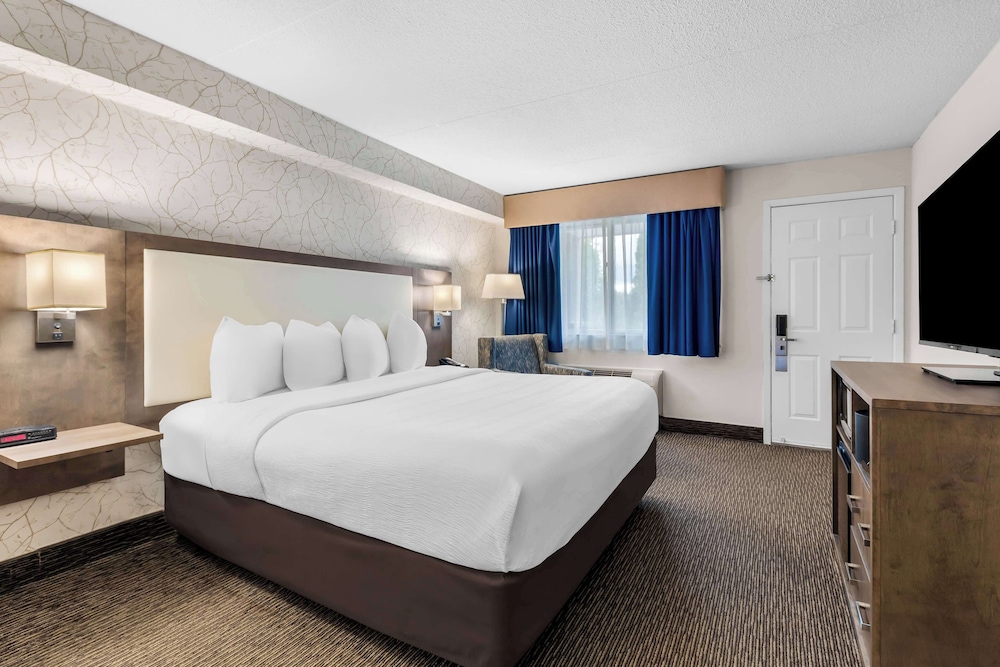 Executive Room, 1 King Bed, Non Smoking, Refrigerator & Microwave photo 1