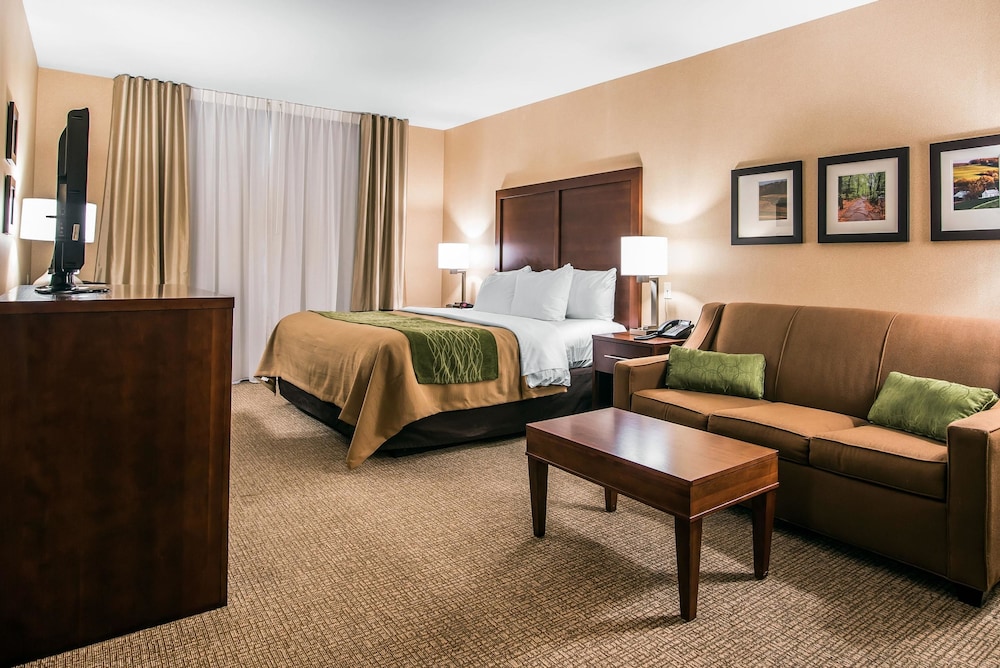 Standard Single Room, 1 King Bed, Non Smoking (Upgrade) photo 1