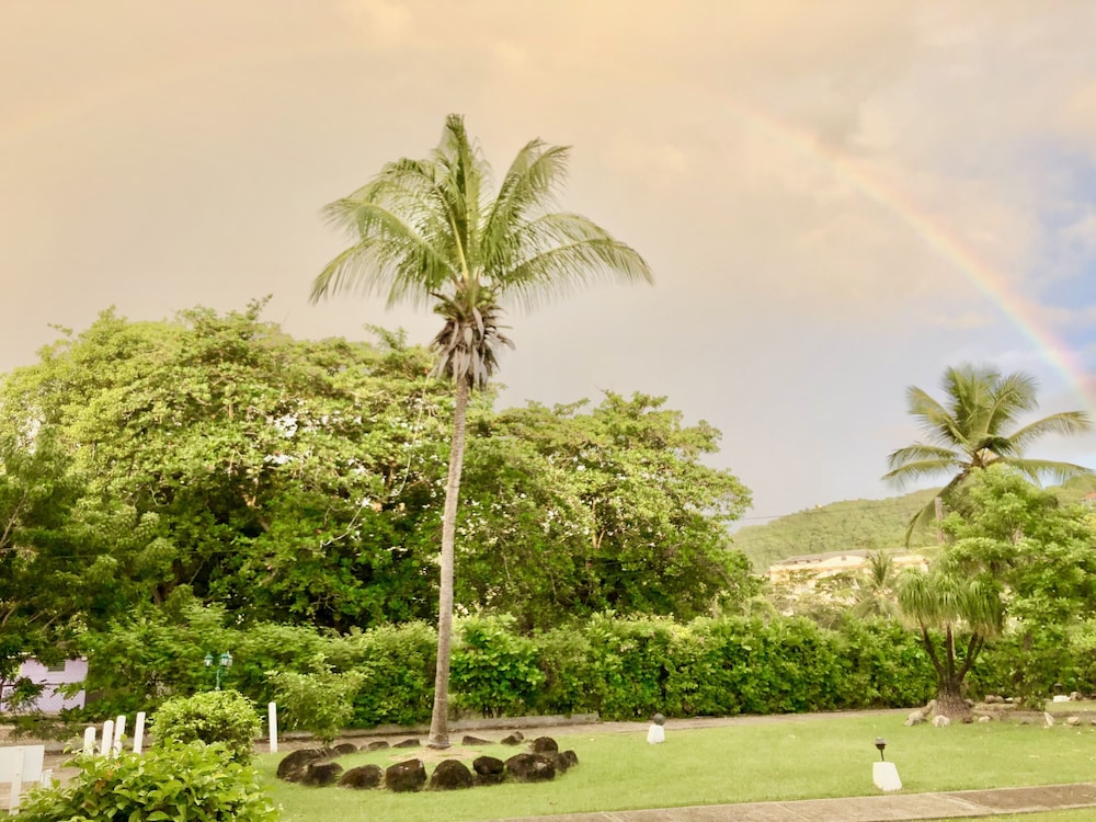 Standard Room, 1 King Bed, Garden View