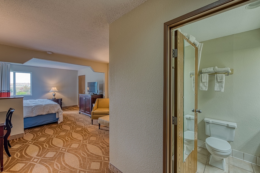 Comfort Single Room photo 1