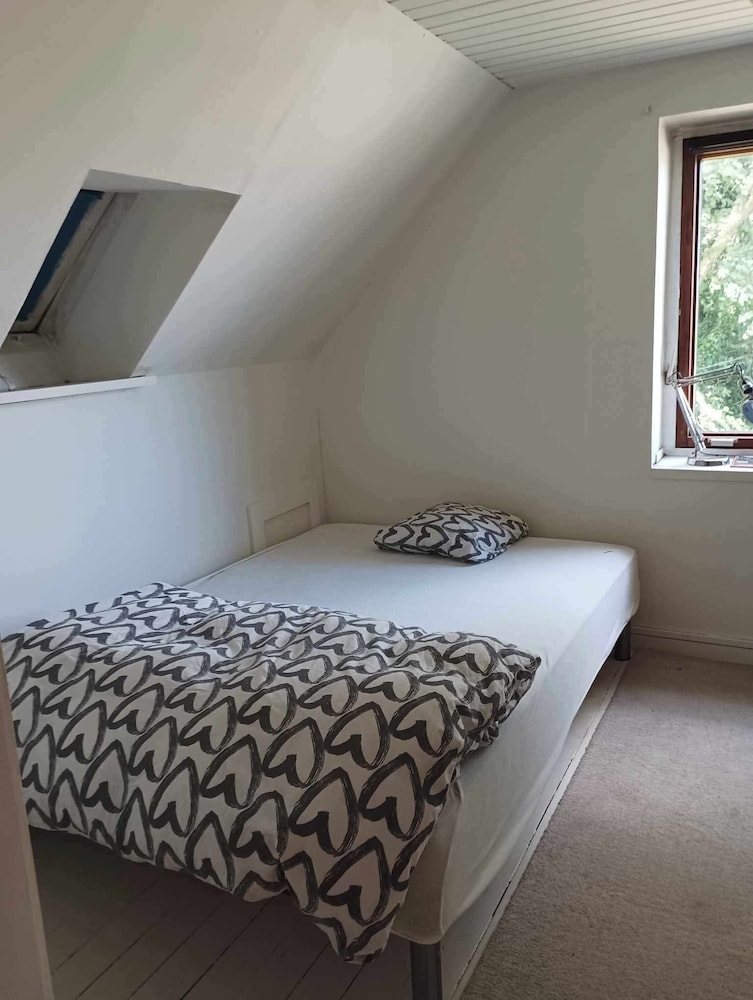 Shared Dormitory, 1 Bedroom, Smoking