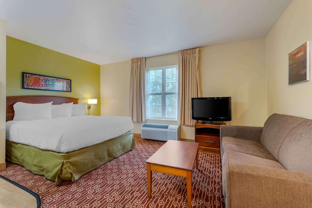 Deluxe Studio, 1 Queen Bed, Non Smoking, Refrigerator & Microwave - Photo 11