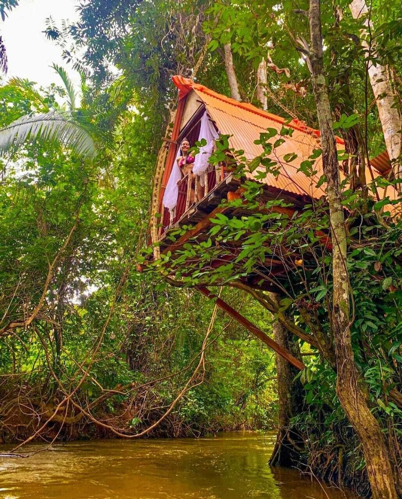 Exclusive Tree House photo 2