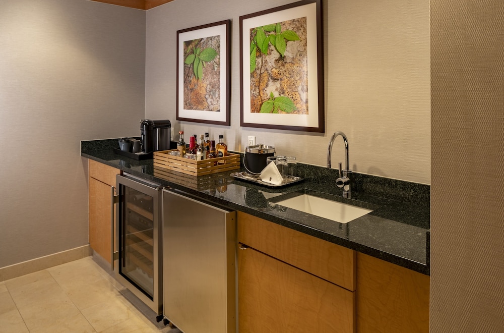 Presidential Suite photo 3