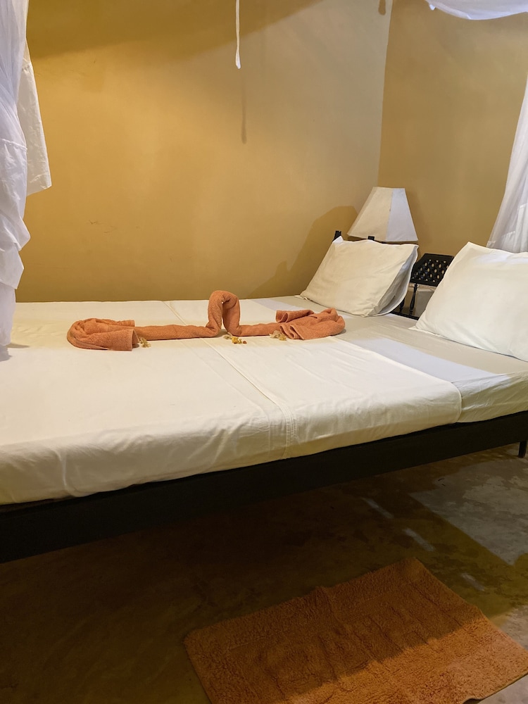 Basic Room, 1 Double Bed photo 2