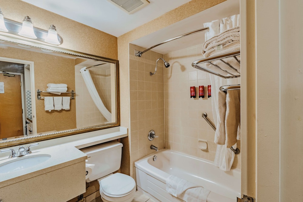 Family Suite, 2 Queen Beds, Non Smoking, Balcony (With Sofabed) - Photo 6