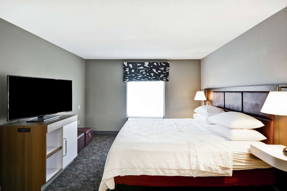 Room, 1 King Bed, Accessible (Roll-In Shower) - Photo 1