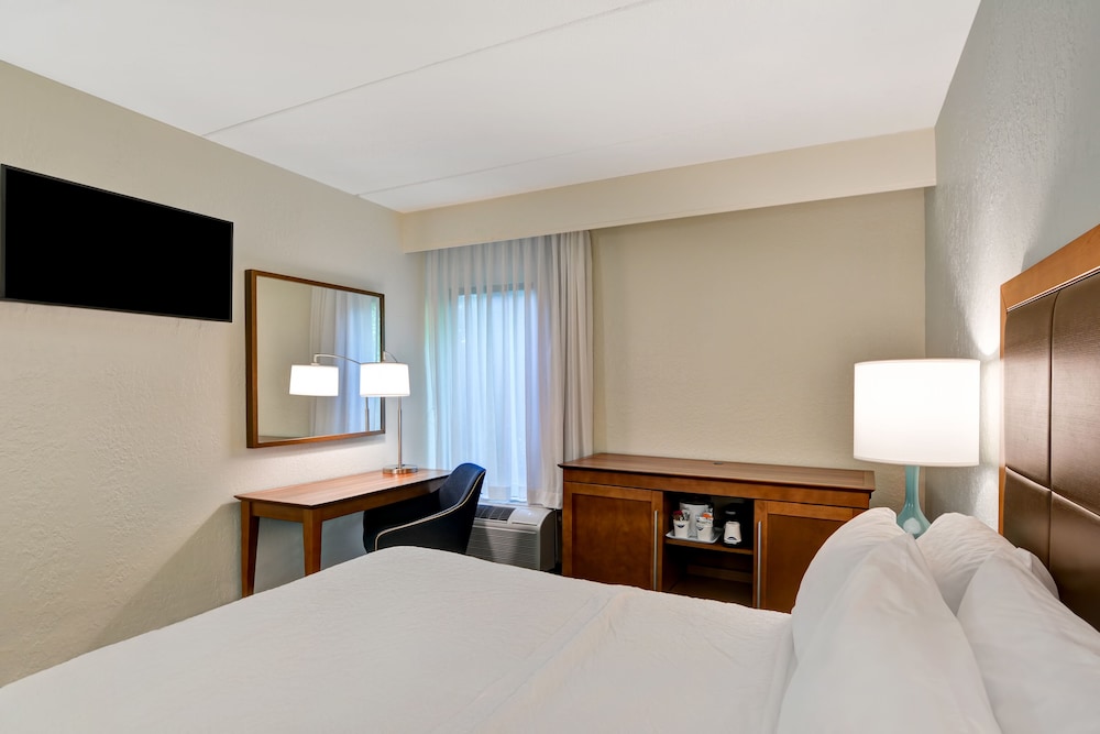 Suite, 1 King Bed photo 2