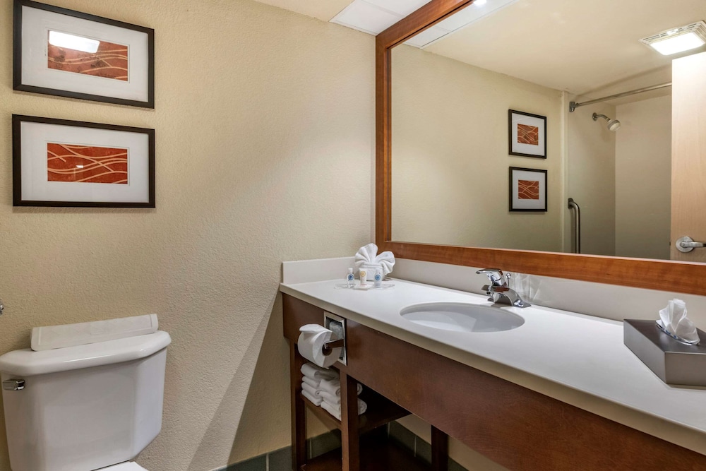 Suite, 1 King Bed, Non Smoking - Photo 9