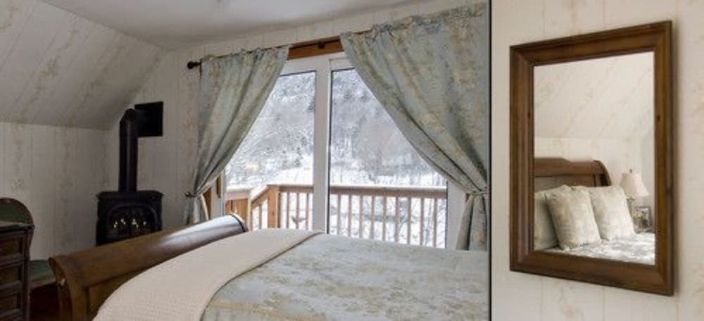 Room, Private Bathroom (Silver Cascade) (Only Kids Ages 12+ and only service animals Allowed)