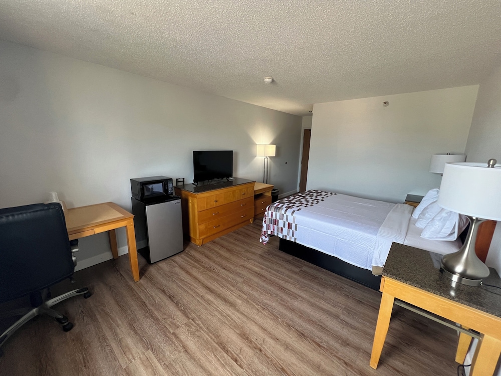 Standard Single Room, 1 Queen Bed, Non Smoking