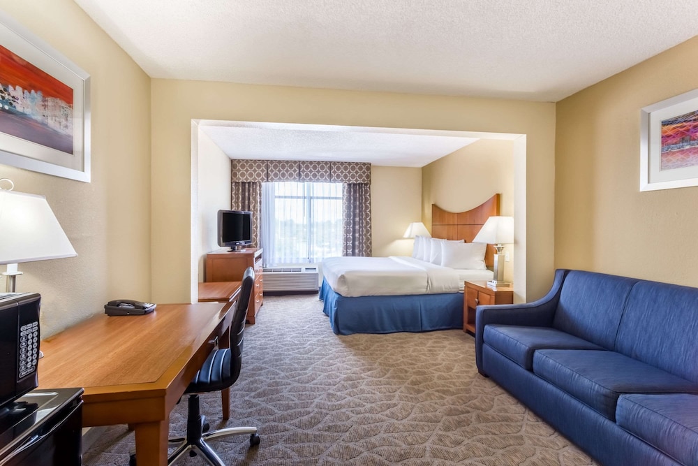Standard Room, 1 King Bed with Sofa bed, Refrigerator & Microwave