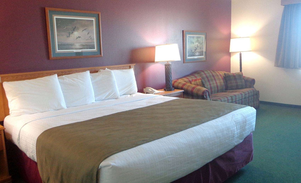 Studio Suite, 1 King Bed, Non Smoking photo 1