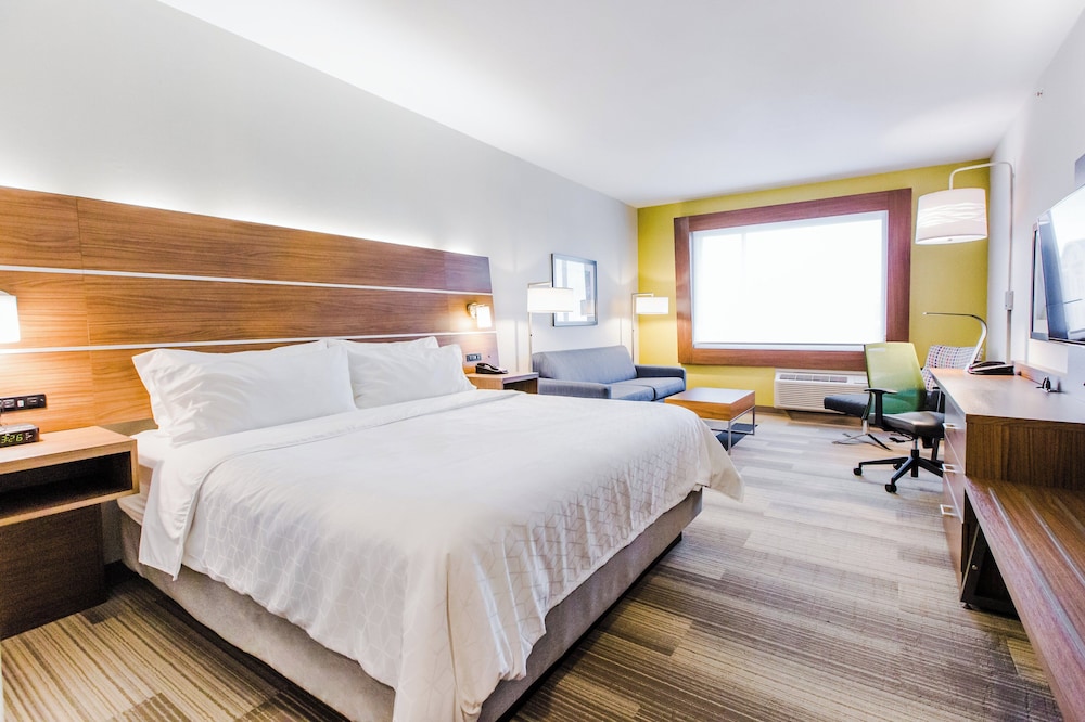 Suite, 1 King Bed (Walk-In Shower)